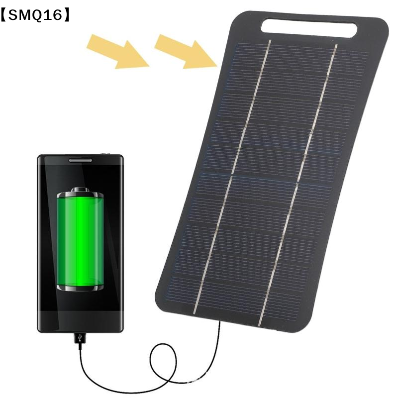 2Wソーラーチャージャー ポータブル USB-C急速充電対応 - Usb Charger Dynamo のレビューと価格